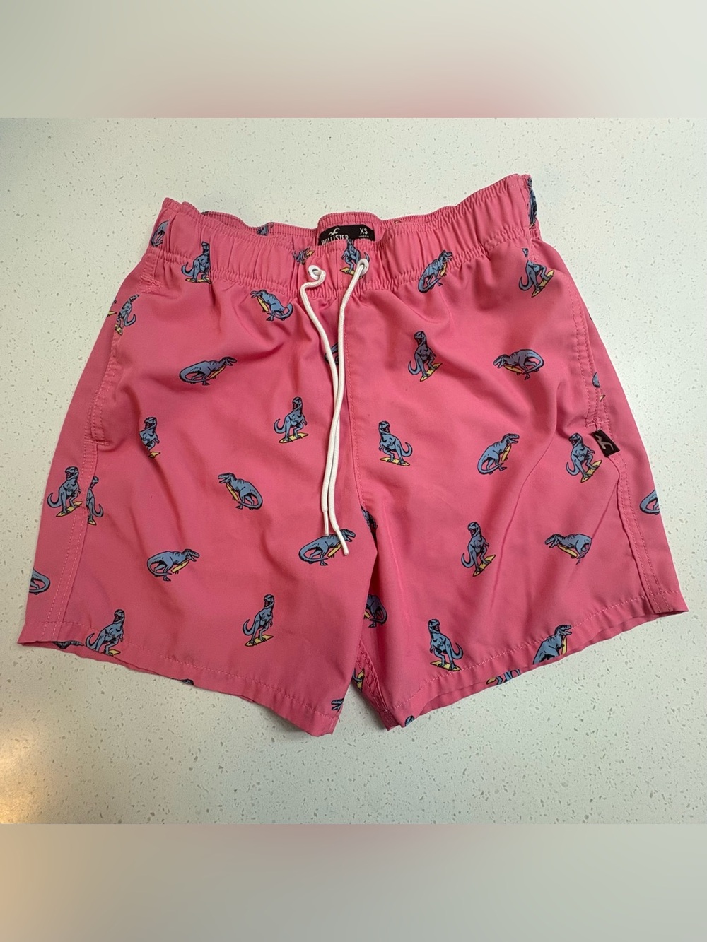 Hollister Pink Surfing Dinosaur Swim Trunks Size XS